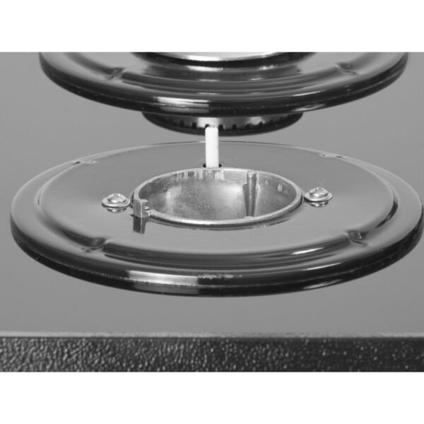 Estufa con horno a gas de 4 Puestos (AG 202-4 GT) - Imagen 14